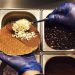 Fresh stroopwafel being prepared at Wholly Waffles