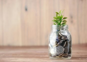 A jar with coins and plants representing wellbeing economy