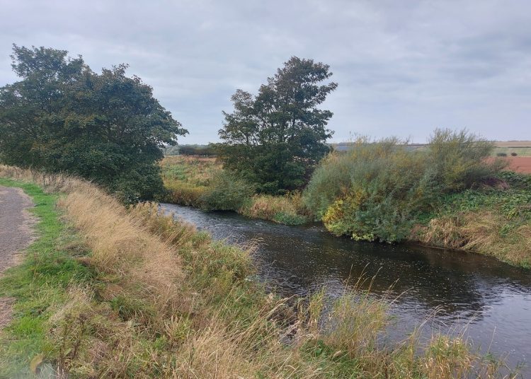 A photo of the River Tyne in autumn along John Muir Way