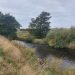 A photo of the River Tyne in autumn along John Muir Way