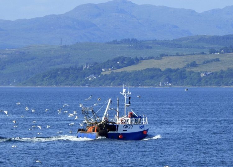 A photo of a Scottish fishing boat with flying seagulls at sea with green rolling countryside in the background