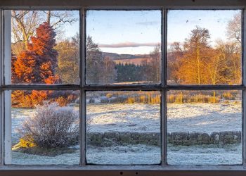 A photo looking through a wooden window into the frozen Scottish countryside. The wooden window is not in good repair and the glass panes are a little dirty. The sun is shining on the landscape outside lighting up the trees and perhaps symbolising a golden future where the frozen ground has thawed further away towards the horizon.